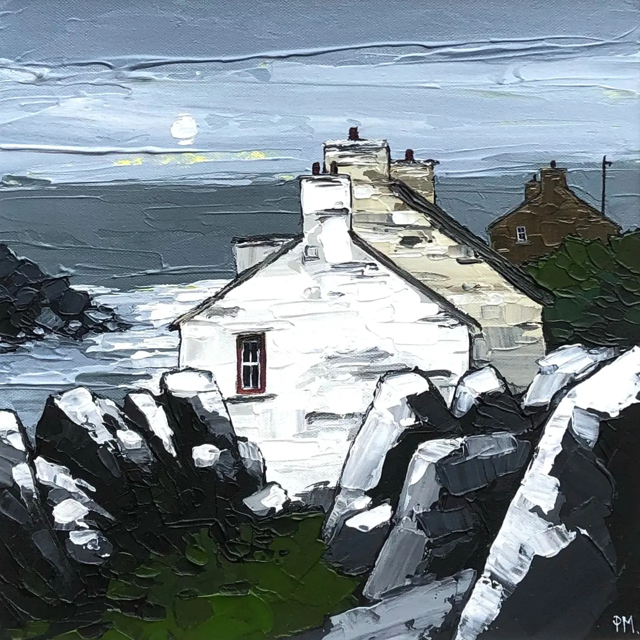 Peter Morgan - midnight moon at abercastell, pembrokeshire